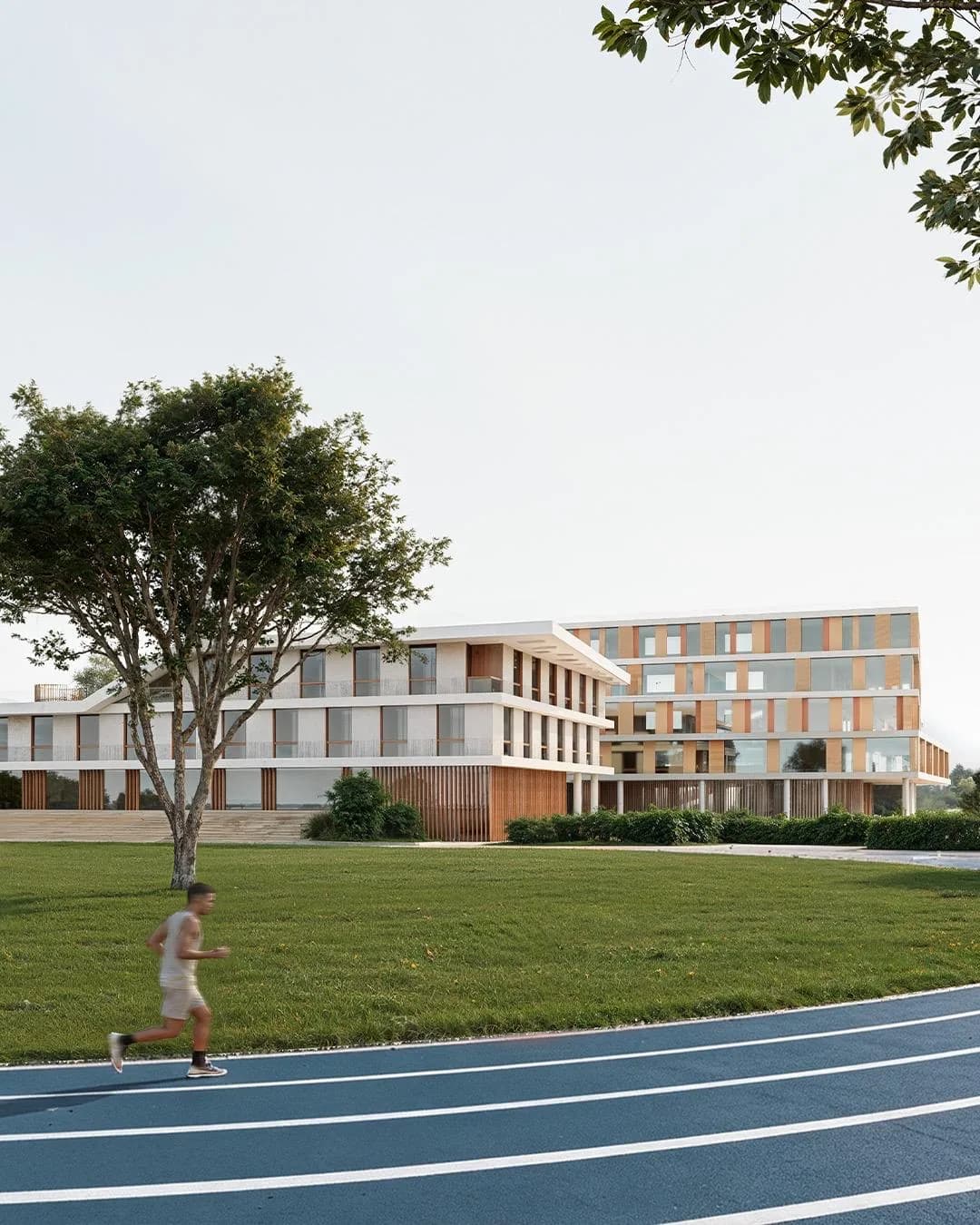 Lycée — Équipement public, 2025